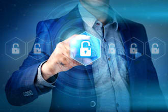 provide consultancy on security issues