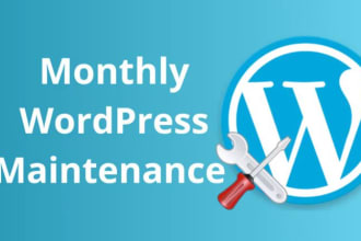 provide maintenance and technical support for your wordpress website