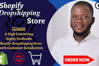 build winning product shopify dropshipping store, shopify website shopify store