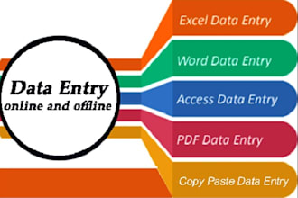 provide data entry and ms excel services