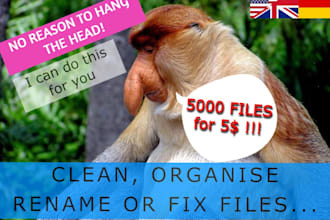 manually clean, organise rename or fix files