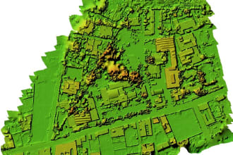 process drone image in metashape points cloud 3d mesh, dsm, dtm, layout map