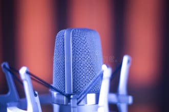 do telugu tamil kannada voice over dubbing translation
