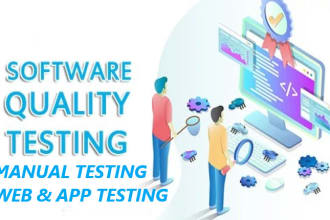 do manual and automation testing for any websites and applications