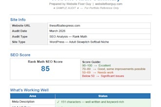 audit your wordpress website