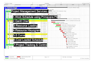 create a professional gantt chart schedule for your project on primavera p6
