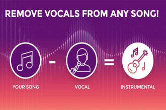 remove vocals from your song, perfect for karaoke