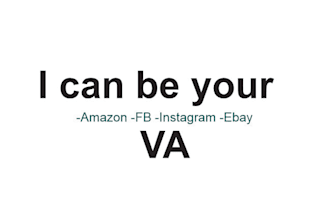 be a fba wholesale virtual assistant for your amazon business
