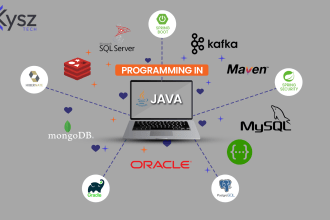develop enterprise web application using java spring boot, microservice