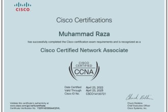 do cisco network design, implementation and support