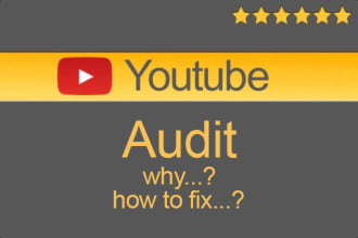audit of the youtube channel and recommendations