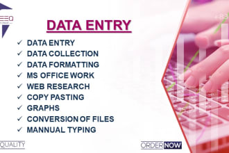 do data entry, data mining, web research and any type of ms office work