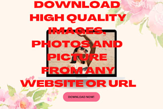 download picture, photos and high quality images from any URL or website
