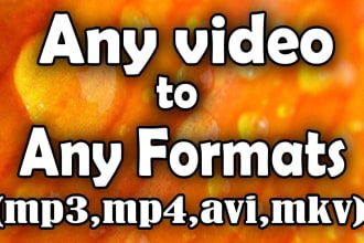 convert video or audio in mp4, mp3, mov, m4a, avi, flv, mkv