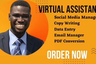 be your administrative virtual assistant for data entry, web research