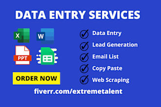 do data entry, input data, data cleansing, lead generation and web scraping