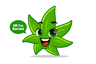 make a premium quality cannabis, weed, hemp, brand logo design