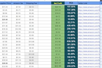 manage your amazon fba store