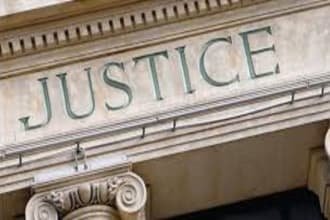 write law and criminology papers and artilces