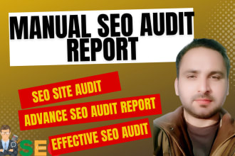 provide manual SEO audit report and competitors analysis