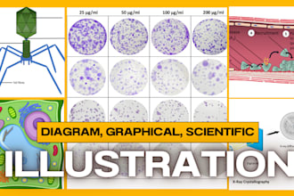 create scientific illustrations diagrams graphical abstracts