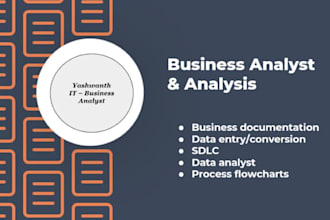 do business analysis and business documentation