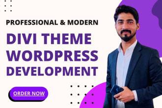 design and customize wordpress websites using divi theme