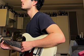critique and review your song or album professionally