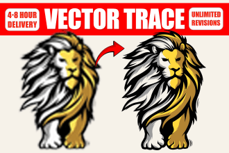 do high quality vector tracing, restore your design