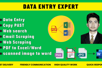 do data entry, copy paste work, and data analysis