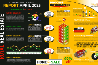 do professional flowcharts, piecharts infographic designs