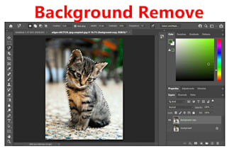 picture background remove and changed quickly
