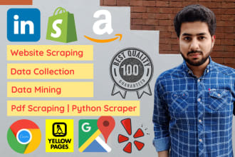 do python web scraping, data mining, and website scraping