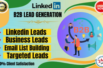provide linkedin b2b lead generation and sale navigator