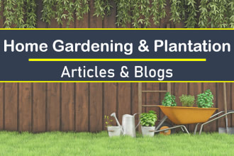 write catchy articles and blogs on home gardening in 24 hours