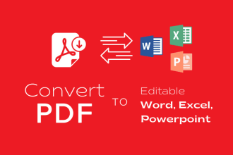 convert pdf to excel, PDF to word or file conversion