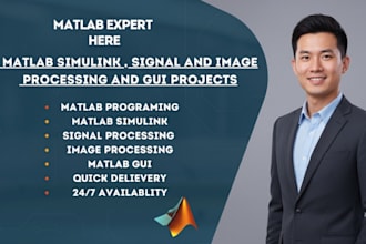 do matlab programming matlab simulink simulation and gui task and projects