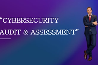 perform a professional cybersecurity audit and assessment