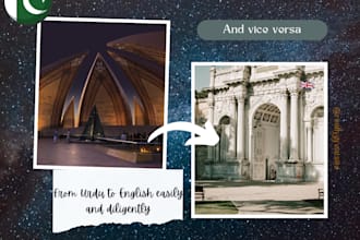 manually translate any blog from urdu to english diligently