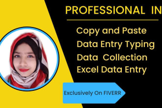do excel data entry typing with copy paste typing work