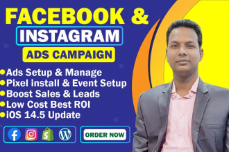 manage facebook and instagram ads campaign,fb advertising and fb marketing