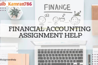 accounting and finance assignments , projects