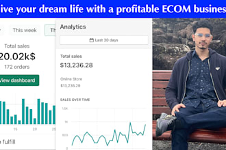 build a profitable shopify dropshipping store
