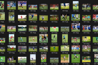 collect, gather and scrape images for your ai, ml model