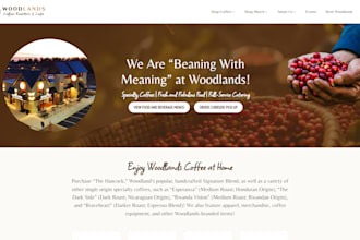 create a custom built, responsive website