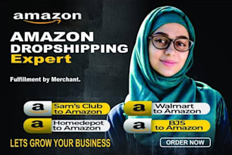 hunt walmart to amazon dropshipping product