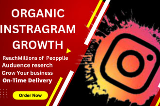 do effective growth and organic promotion instagram
