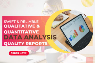 do data analysis and report writing