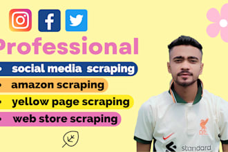 do fastest all data scraping from yellow pages with email leads within 24 hours
