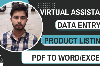 do data entry in excel,word and copy paste as a virtual assistant